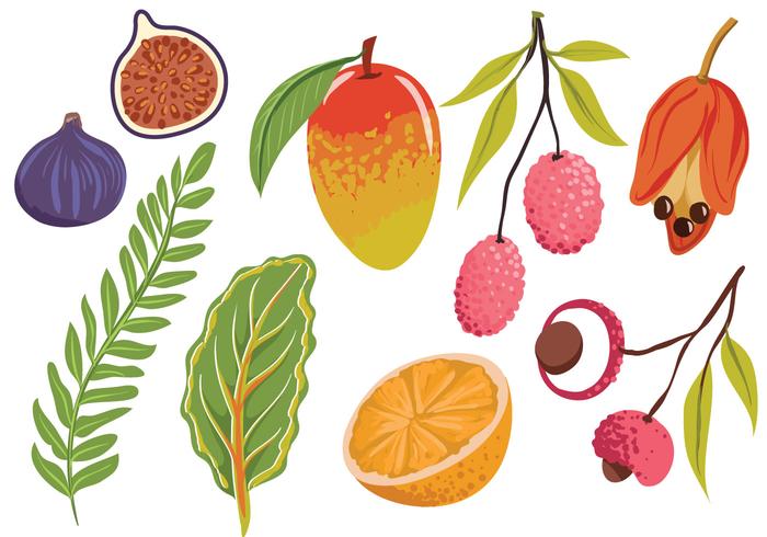 700x490 Free Exotic Fruit Leaves Vectors