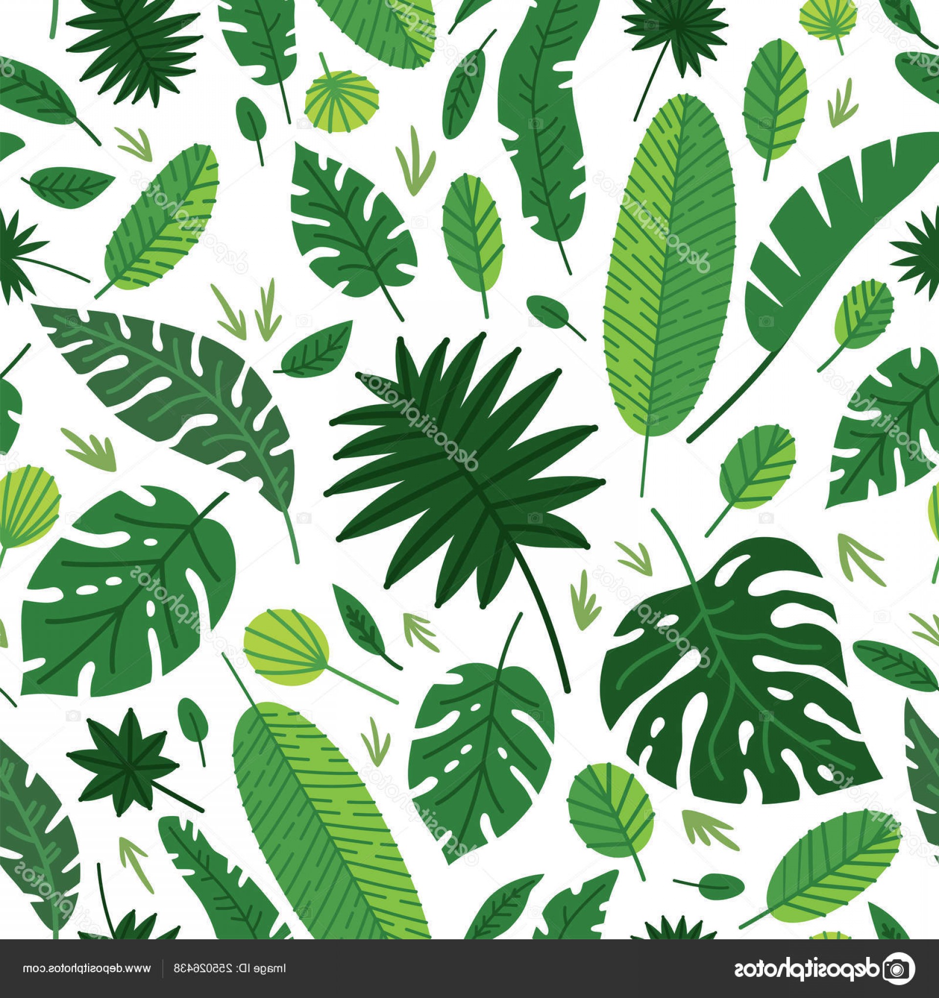 1920x2040 Stock Illustration Tropical Leaves Vector Pattern Summer Cqrecords