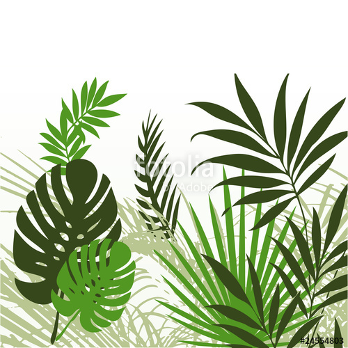 500x500 Tropical Leaves Stock Image And Royalty Free Vector