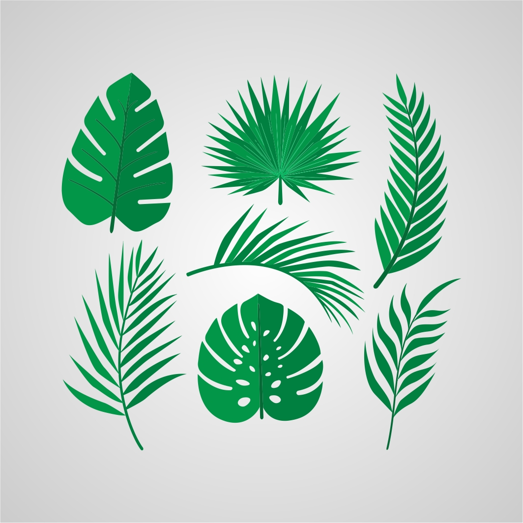 1064x1064 Tropical Leaves Vector Imomia
