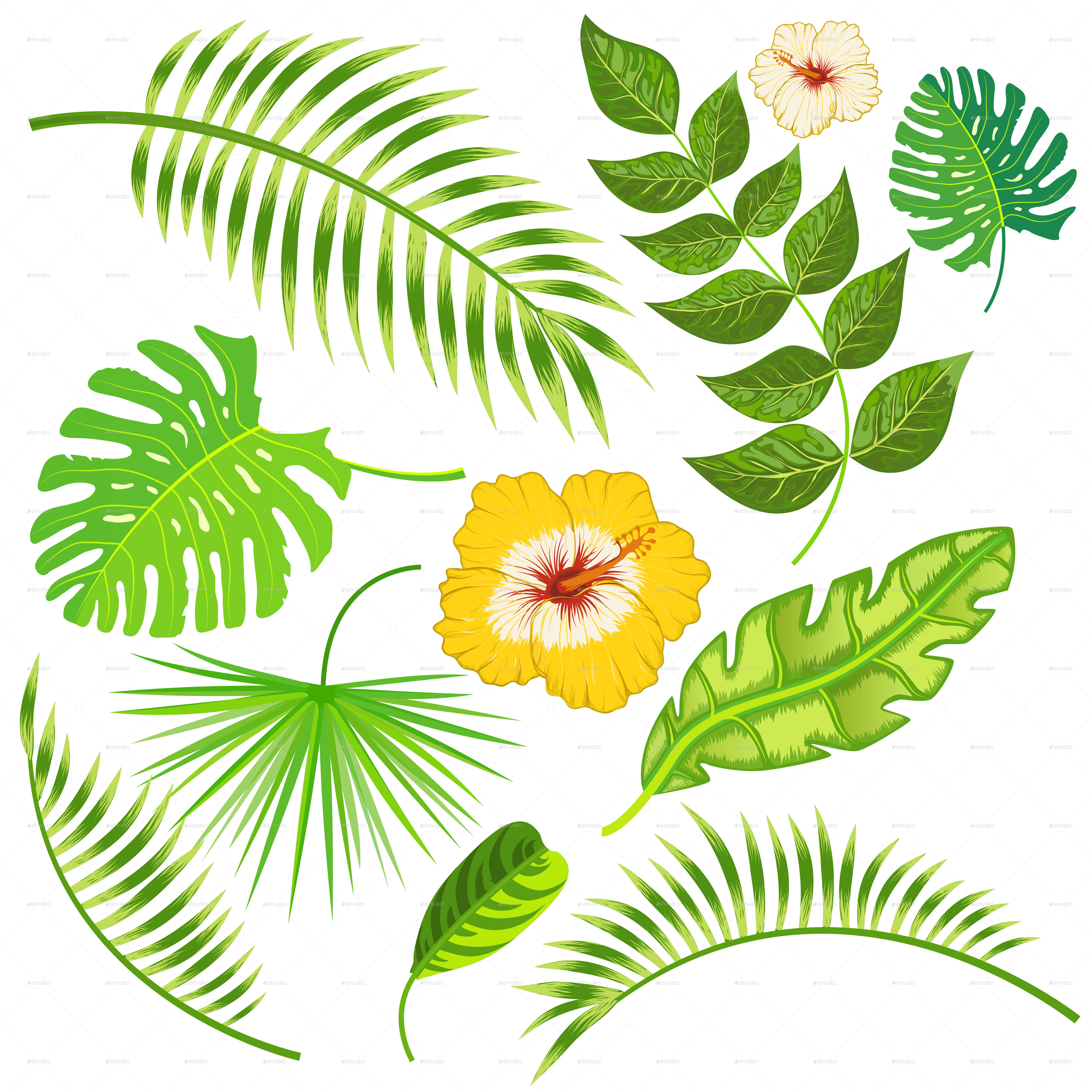 4167x4167 Tropical Leaves And Flowers Vector