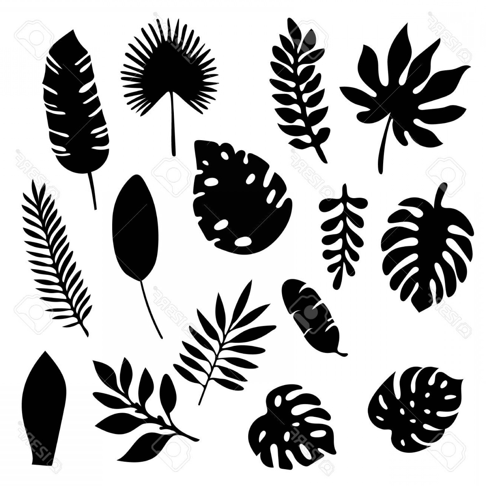 Tropical Leaves Vector at Vectorified.com | Collection of Tropical ...