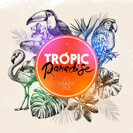 450x450 Hand Drawn Sketch Tropical Paradise Plants And Birds Frame