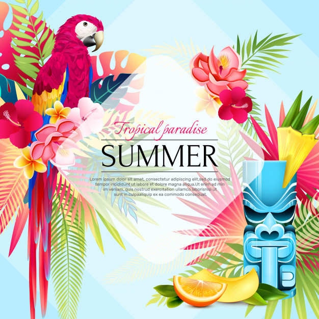 626x626 Summer Tropical Paradise Background Vector Free Download