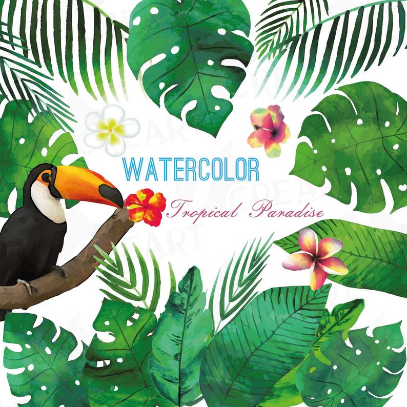 794x794 Tropical Paradise Watercolor Clip Art Pack Watercolor Etsy