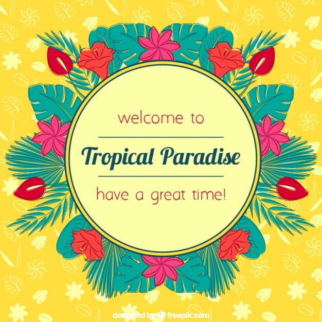 626x626 Tropical Paradise Background Vector Free Download