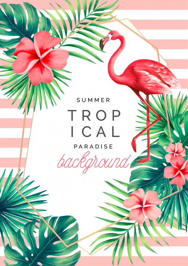 626x885 Tropical Paradise Background With Exotic Nature And Flamingo