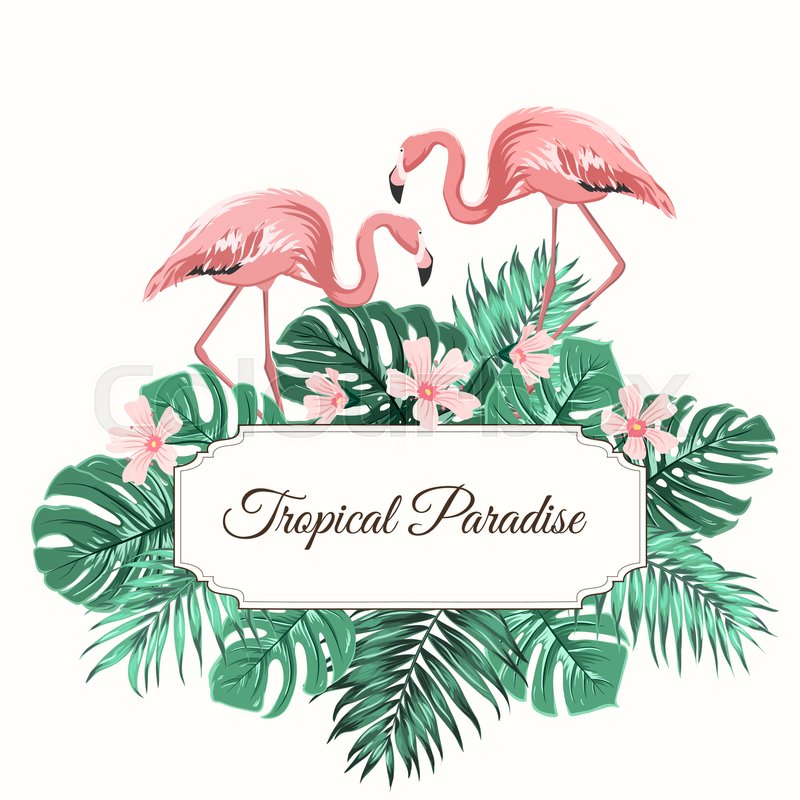 800x800 Tropical Paradise Composition Stock Vector Colourbox