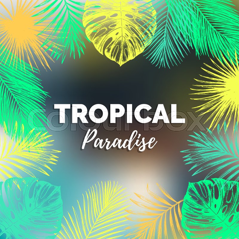 800x800 Vector Vintage Tropical Paradise Stock Vector Colourbox