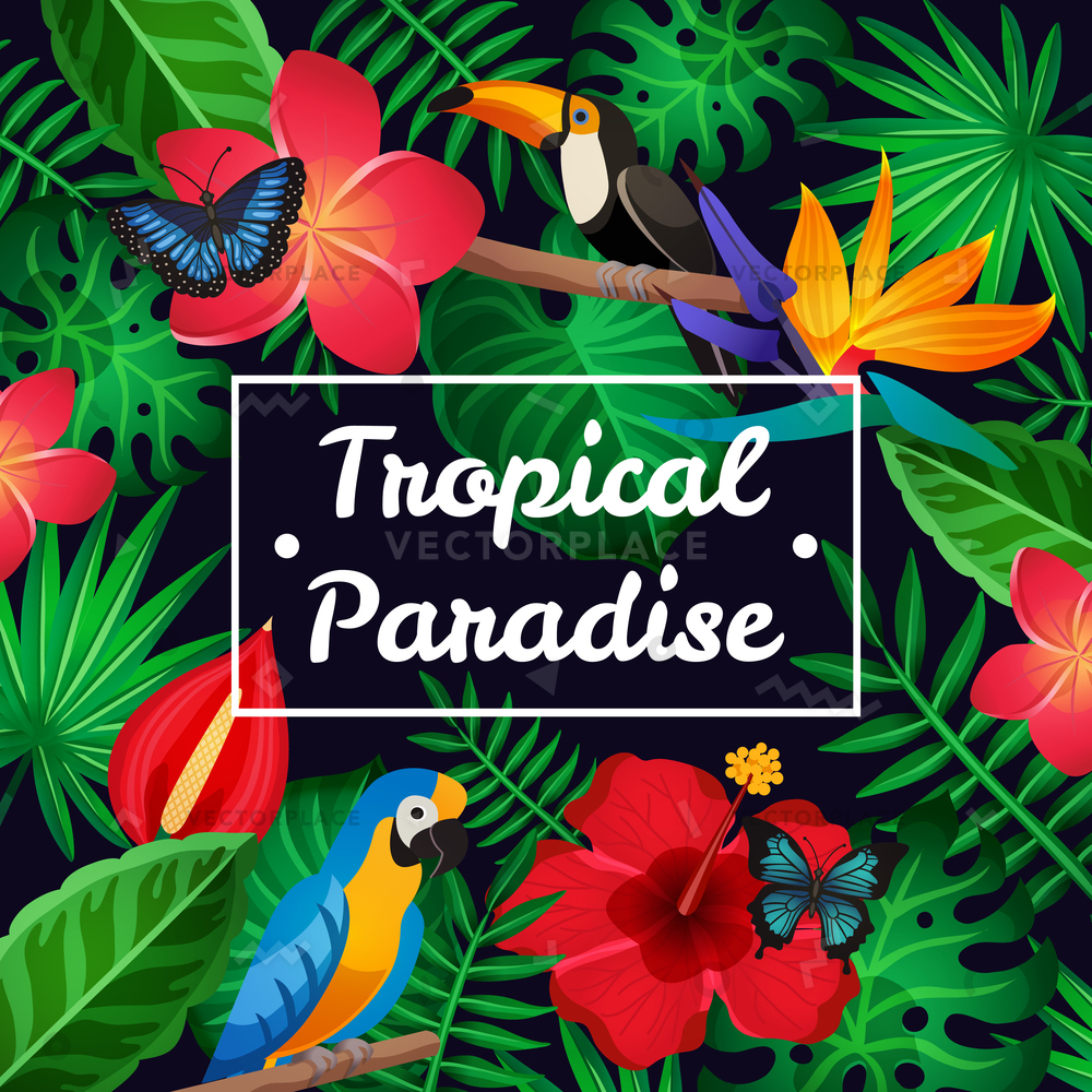 1000x1000 Flat Design Tropical Paradise Frame Amazing Vector Illustration
