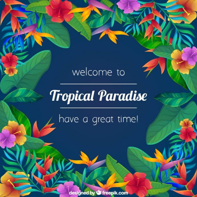 626x626 Floral Tropical Paradise Background Vector Premium Download