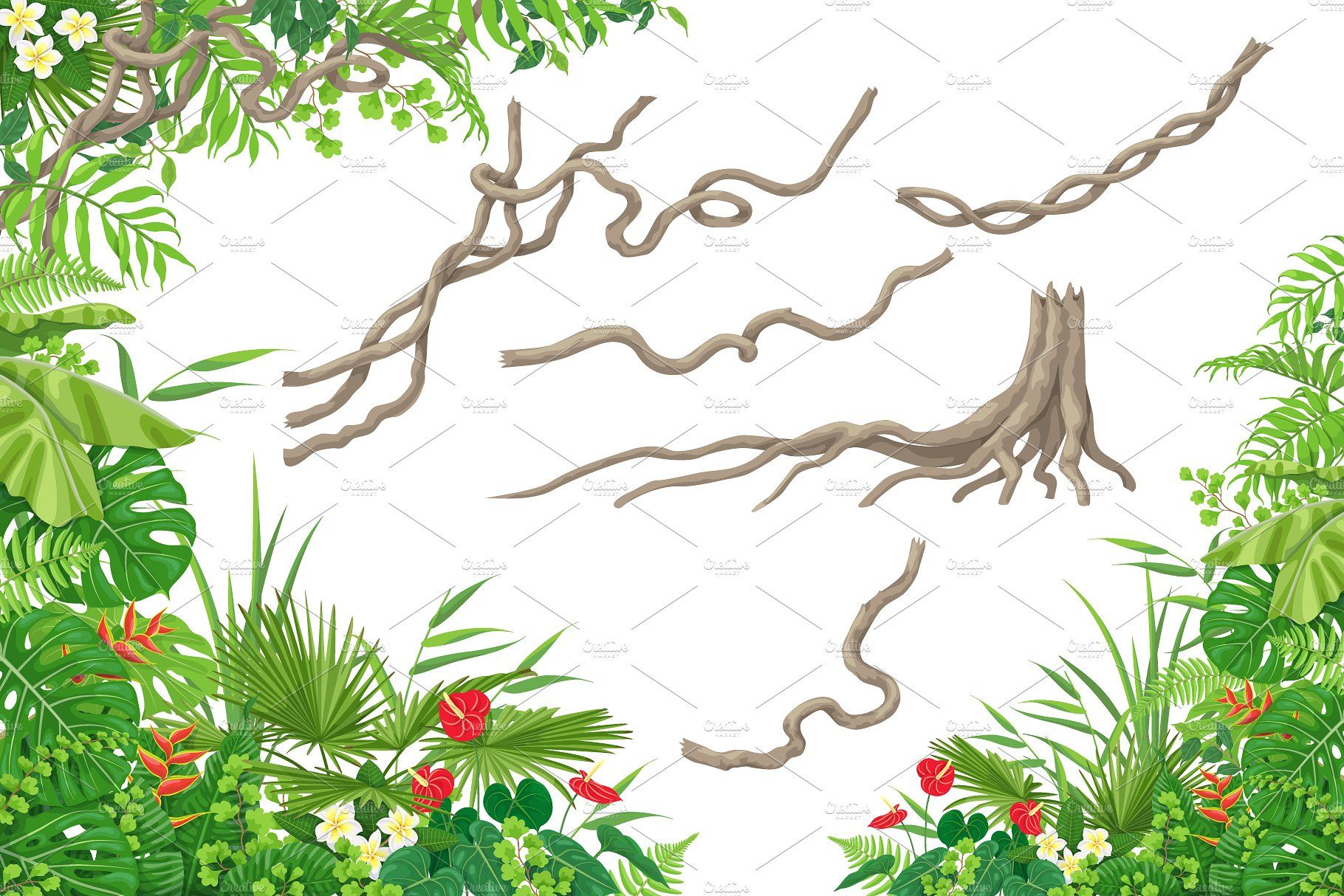 1820x1214 Green Tropical Paradise