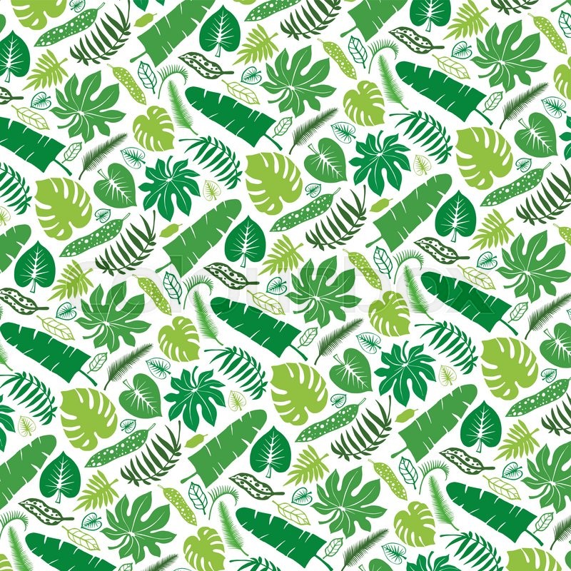 800x800 Tropical Palm Leaves Pattern Vector Stock Vector Colourbox