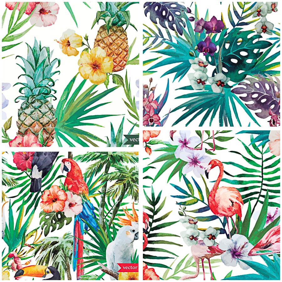 900x900 Tropical Pattern Birds Vector Free Download