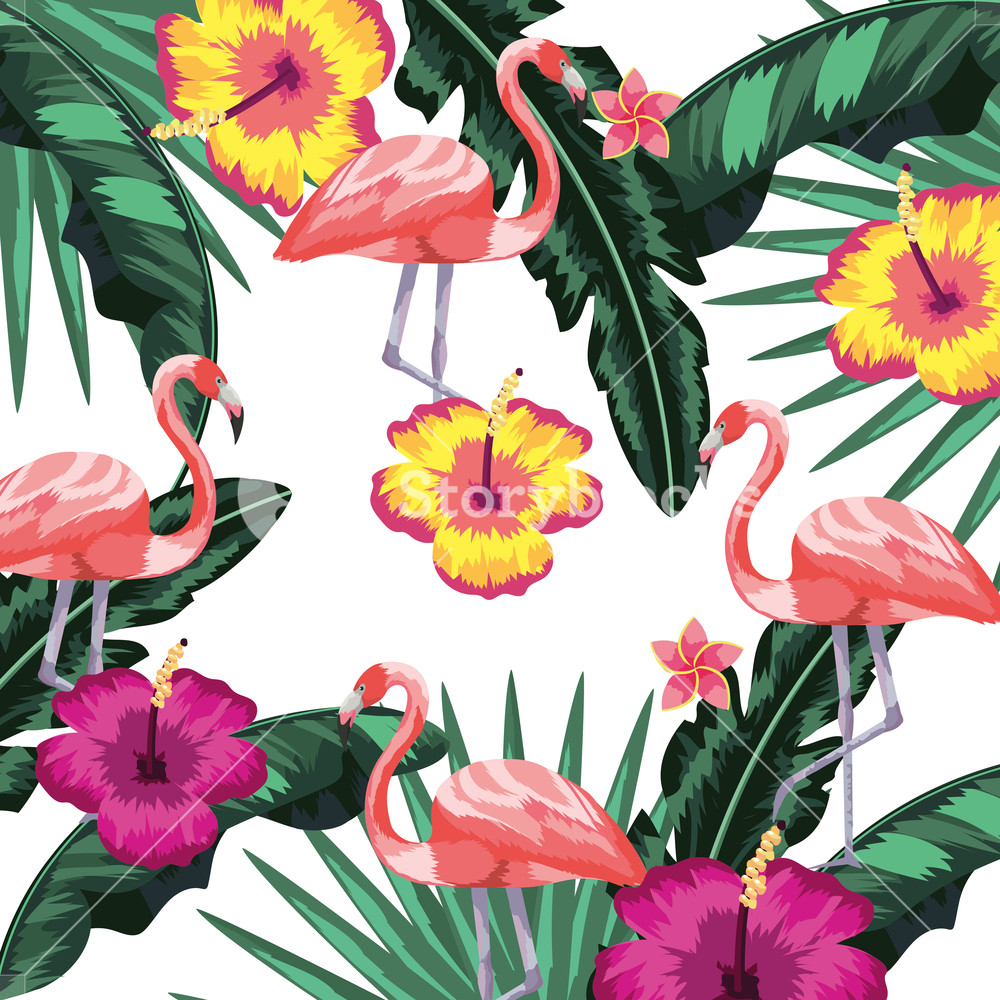 1000x1000 Exotic Bird And Tropical Leaves Background Pattern Vector