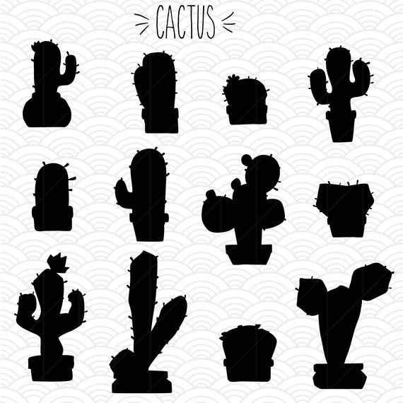 Tropical Plants Vector