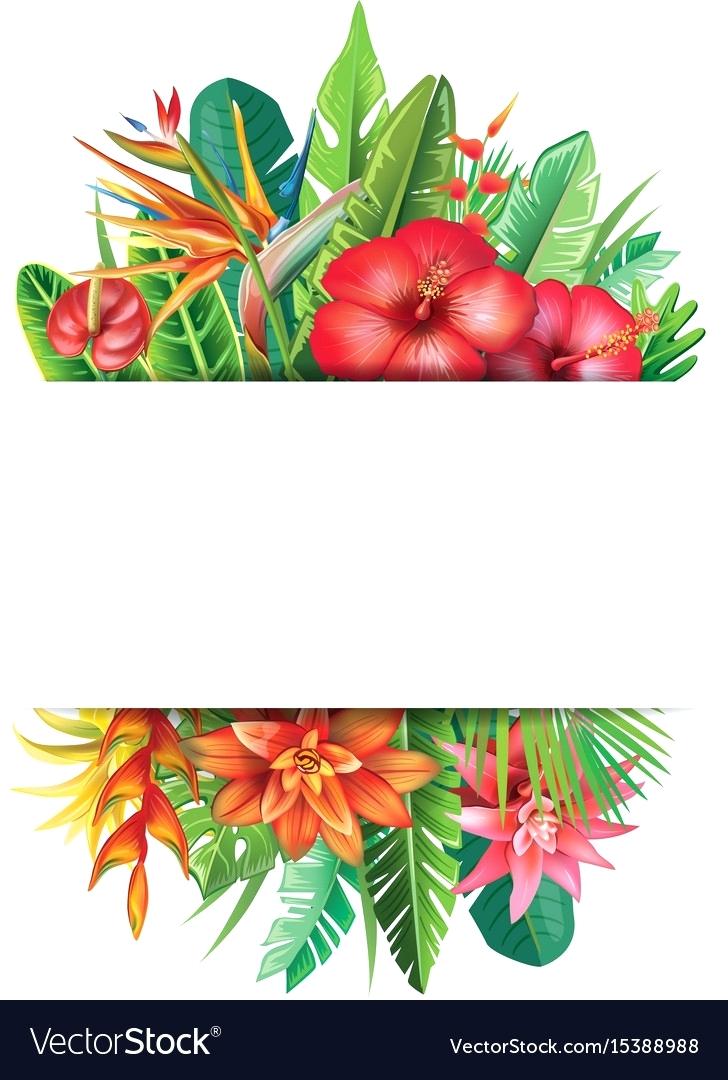 728x1080 Pictures Of Tropical Plants Tropical Plants Images And Names