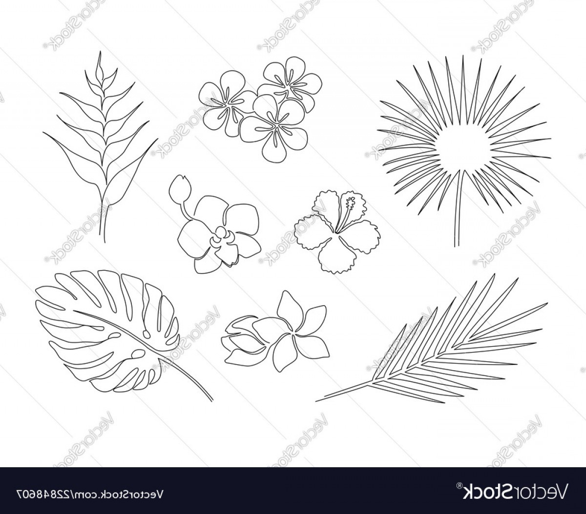1200x1054 Plant Line Art Vector Hoodamath
