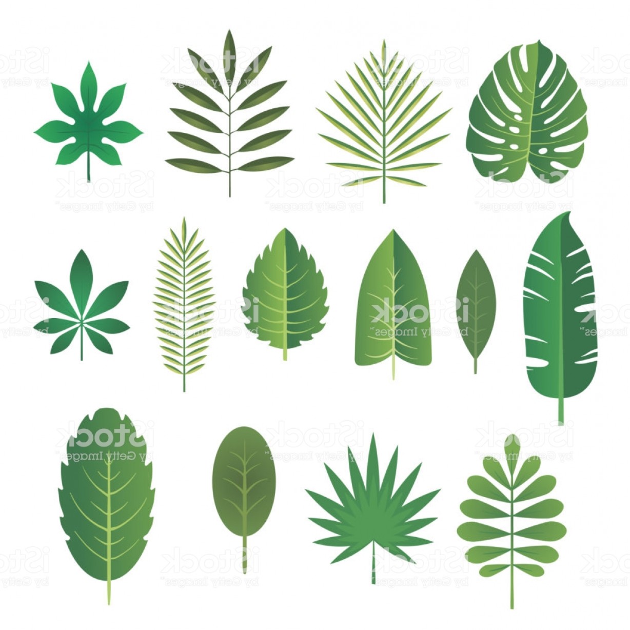 1228x1228 Plant Vector Art Cqrecords