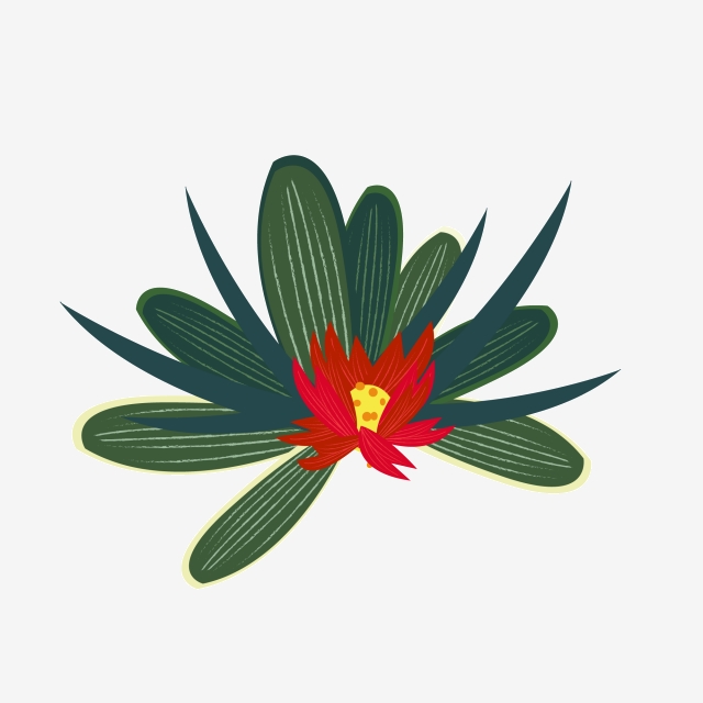 640x640 Succulent Type Of Tropical Plants, Vector Illustration, Tropical