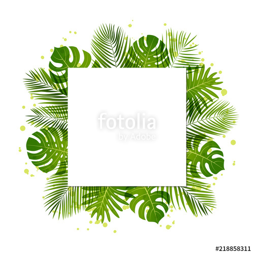 500x500 Summer Background With Palm Leaves Tropical Plants Vector