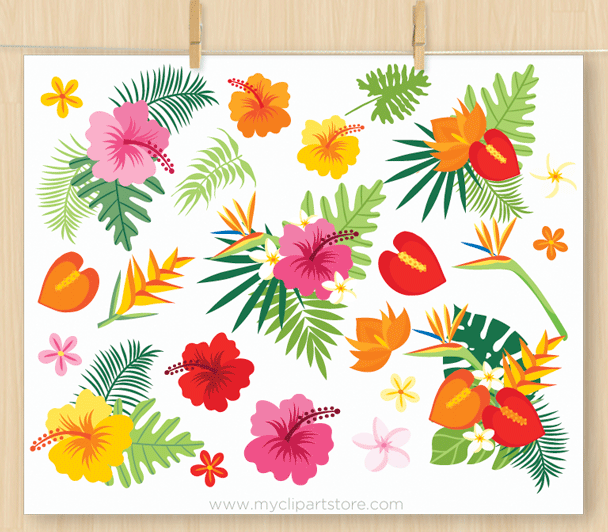 608x532 Tropical Plants Clipart Premium Vector Clipart