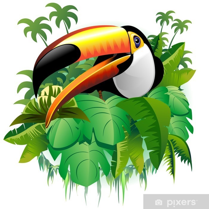 700x700 Tucano Vegetazione Tropicale Toucan On Tropical Plants Vector Wall