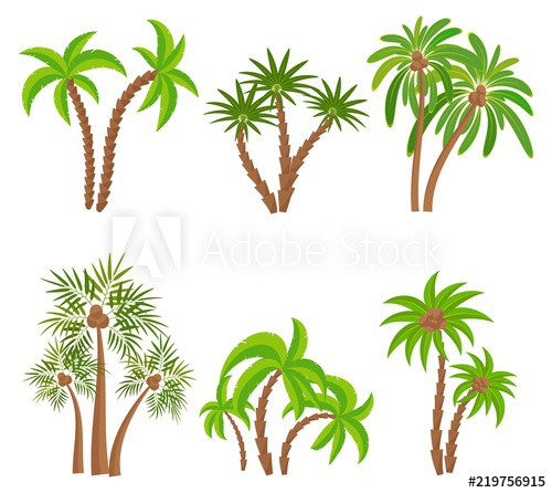500x446 Different Palm Trees Set Isolated On White Background Tropical