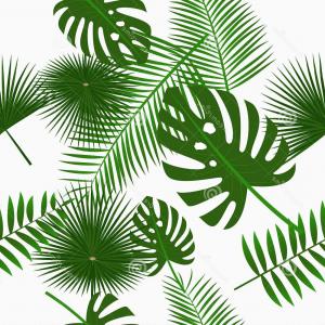 300x300 Leaf Of Tropical Plant Monstera Jungle Foliage Vector Hoodamathrun