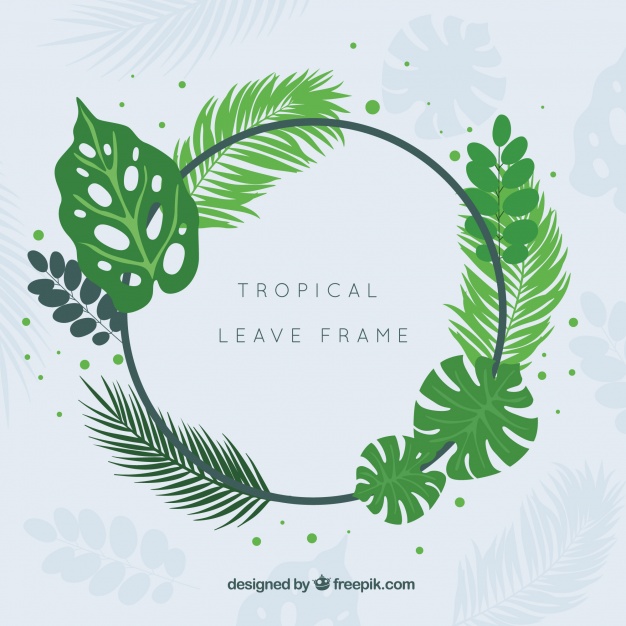 626x626 Leaves Frame With Tropical Plants Vector Free Download
