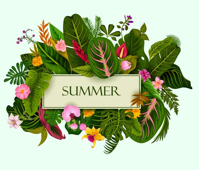 673x575 Summer Background With Tropical Plant And Flower Vector Free