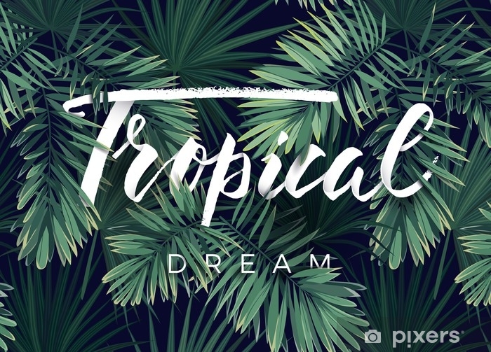 700x503 Summer Tropical Vector Design For Banner Or Flyer With Dark Green