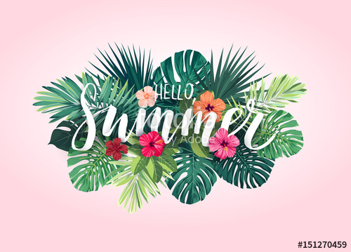 500x359 Summer Tropical Vector Design For Banner Or Flyer With Exotic Palm