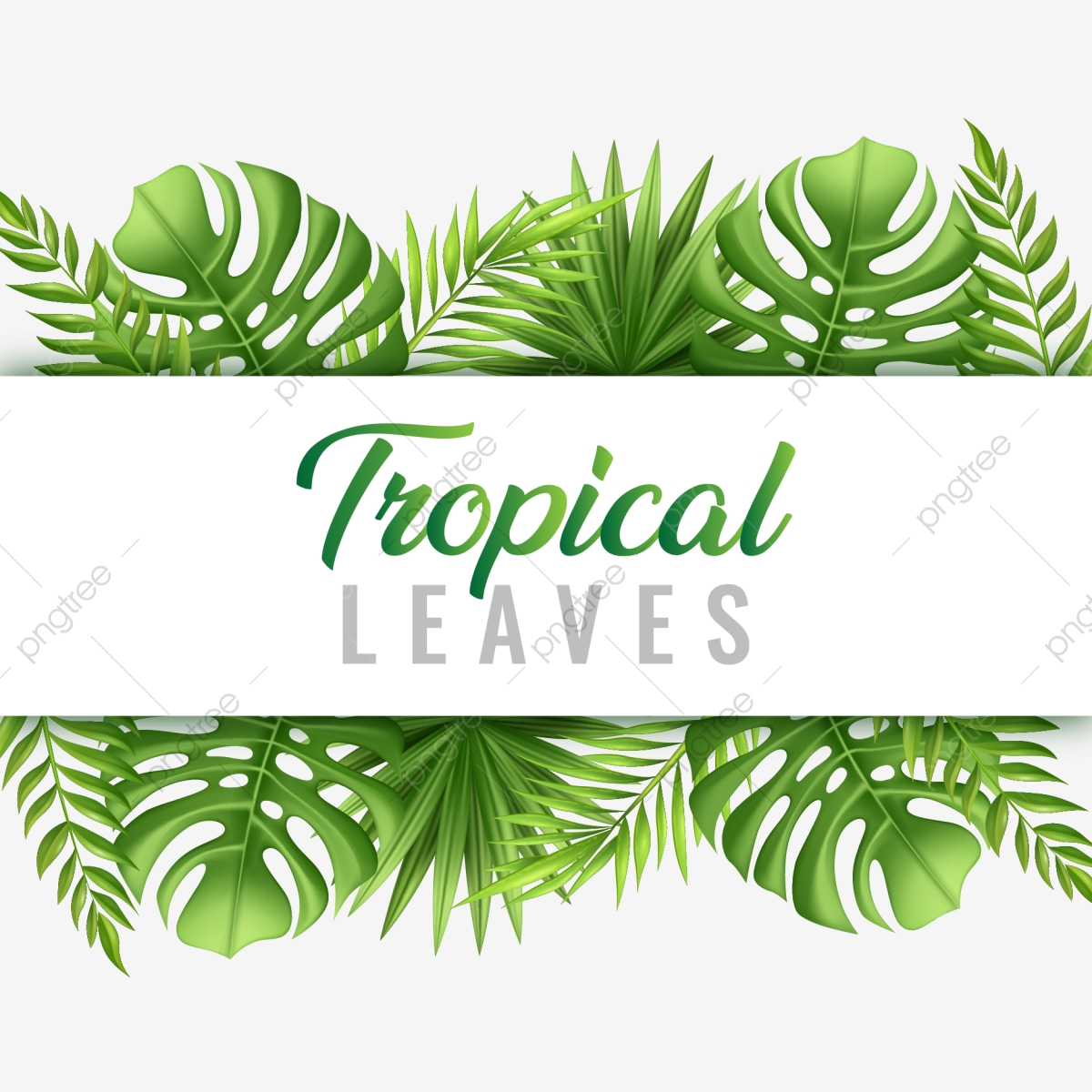 1200x1200 Trendy Tropical Summer Leaves With Typography Frame Vector