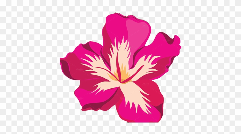 840x467 Tropical Flower Clipart