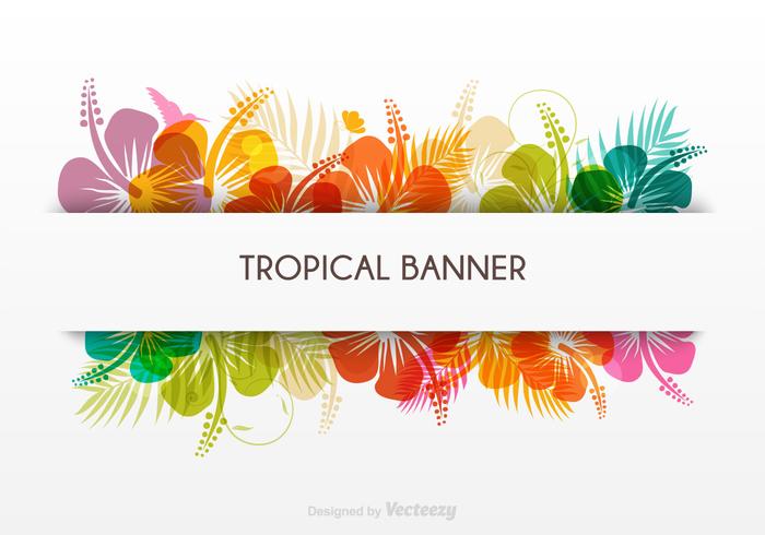 700x490 Tropical Free Vector Art