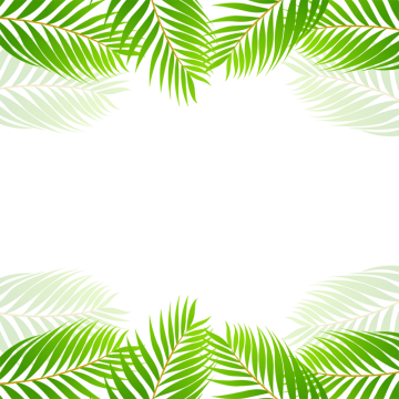 360x360 Green Tropical Border Vector, Green, Tropical Png
