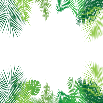 360x360 Tropical Png, Vector, And Clipart With Transparent Background