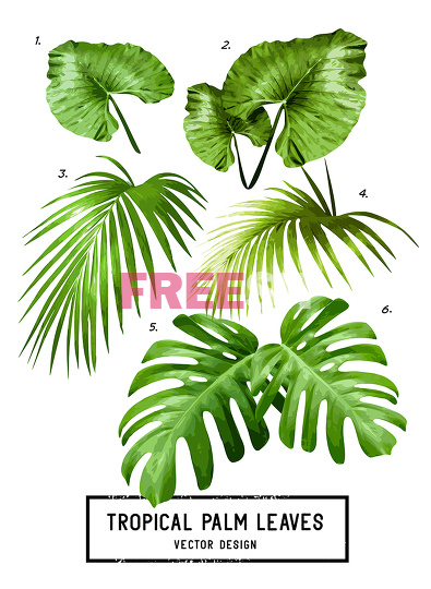395x540 Tropical Vector Palm Leaves