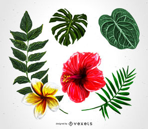 297x260 Tropical Vector Graphics To Download