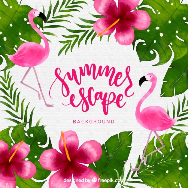 626x626 Tropical Vectors, Photos And Free Download