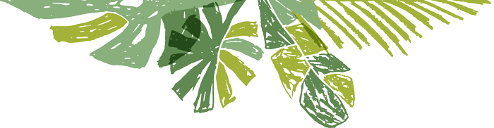 700x182 Tropical Pattern Collection Vector Print Illustrations On Behance