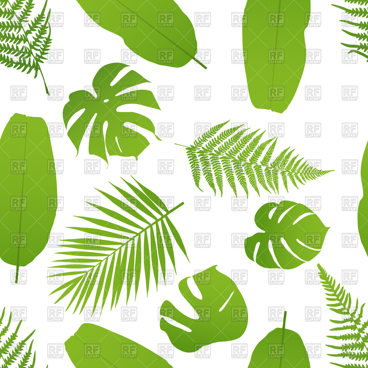 1200x1200 Tropical Seamless Pattern With Palm And Fern Leaves Vector Image