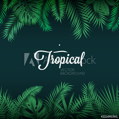 500x500 Tropical Vector Background With Exotic Green Palm Leaves