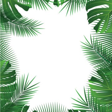 360x360 Tropical Leaves, Palm, Leaves, Tropical Vector Png