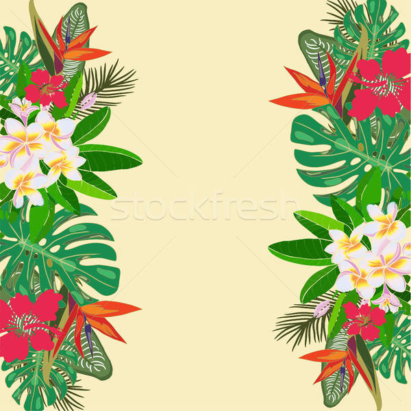 600x600 Tropical Vector Illustration With Tropical Plants, Exotic Flowe