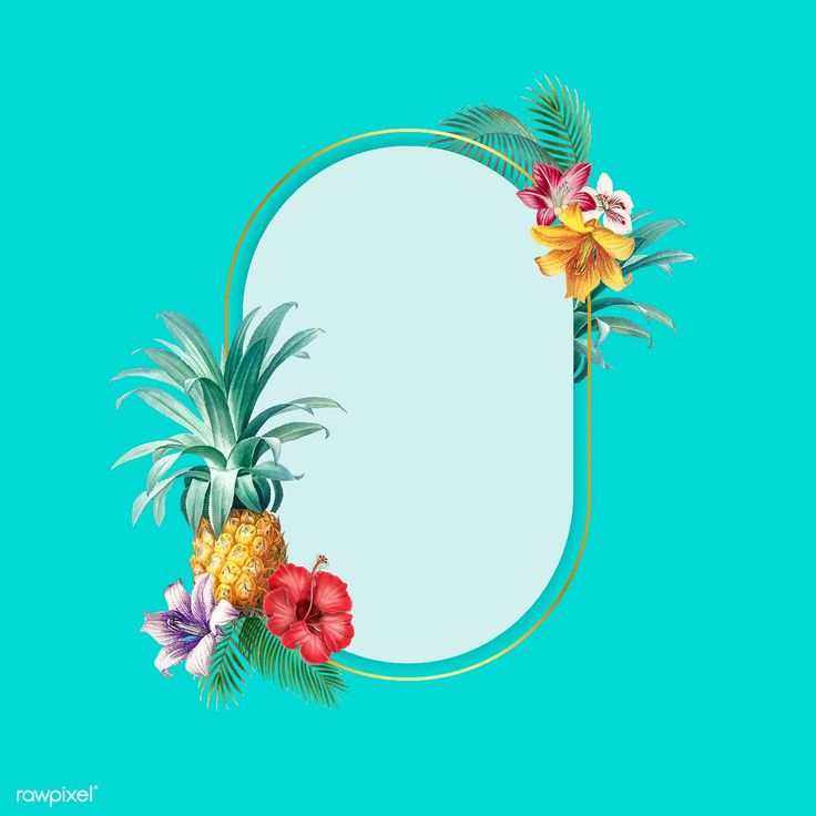 736x736 Vector Blue Tropical Oval Frame On Blue Background Vector