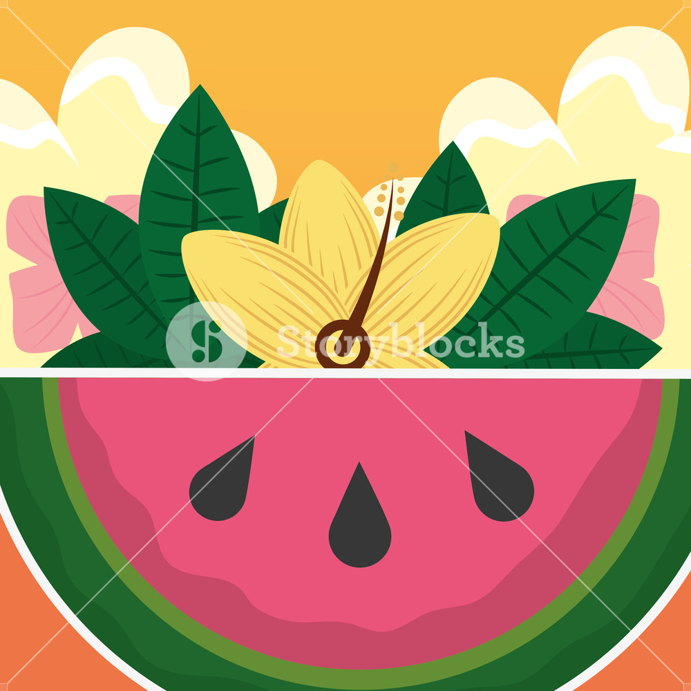 1000x1000 Summer Time Fresh Fruit Watermelon Tropical Vector Illustration