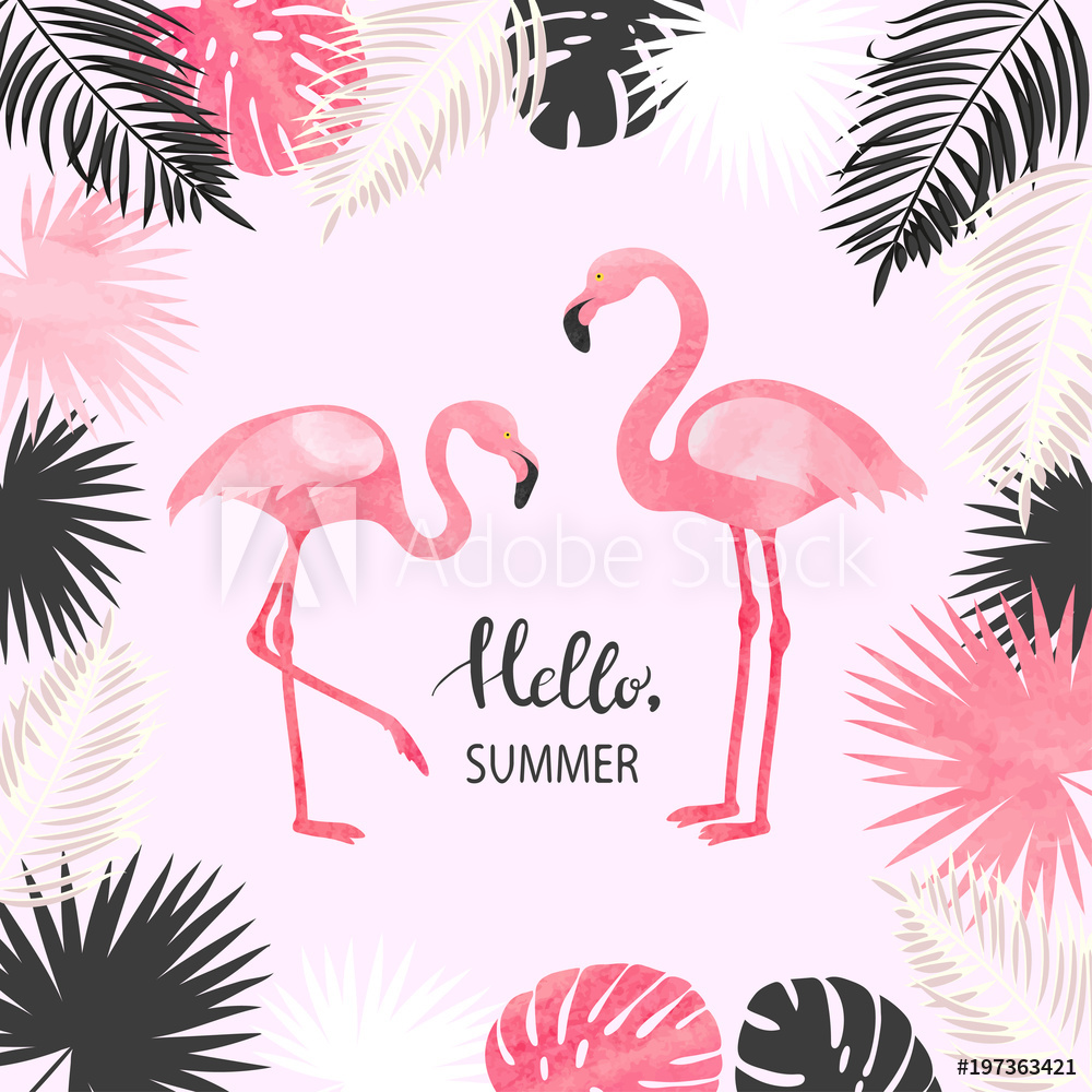 1000x1000 Fotografie, Obraz Summer Tropical Vector Illustration