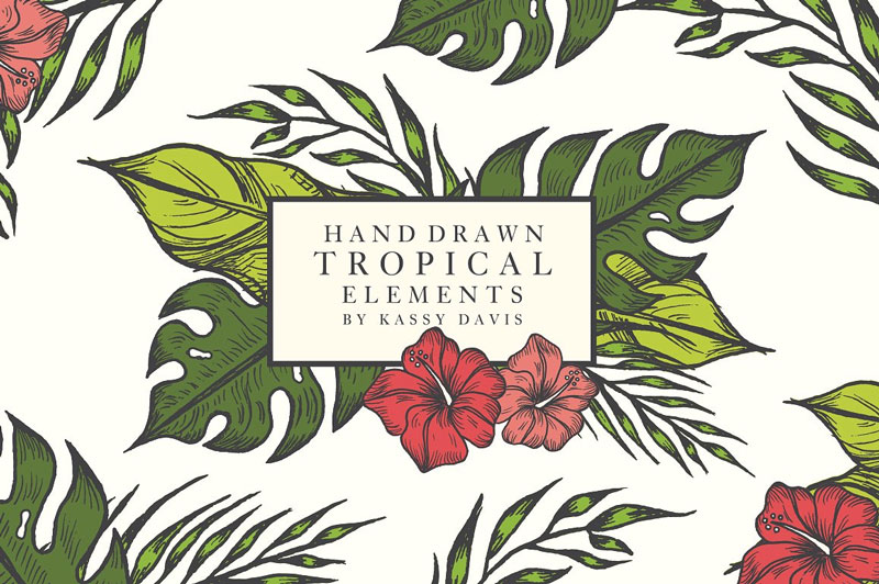 800x532 Free Hand Drawn Tropical Vector Graphics Elements Dribbble Graphics